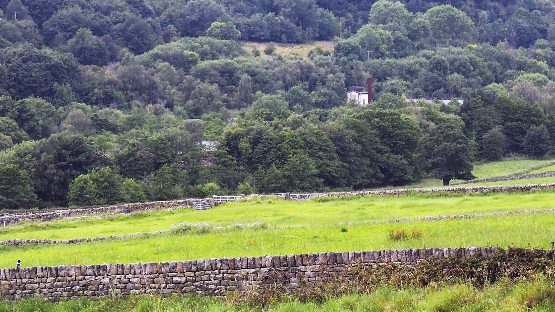 Countryside charity CPRE South Yorkshire condemns plans for Loxley valley township
