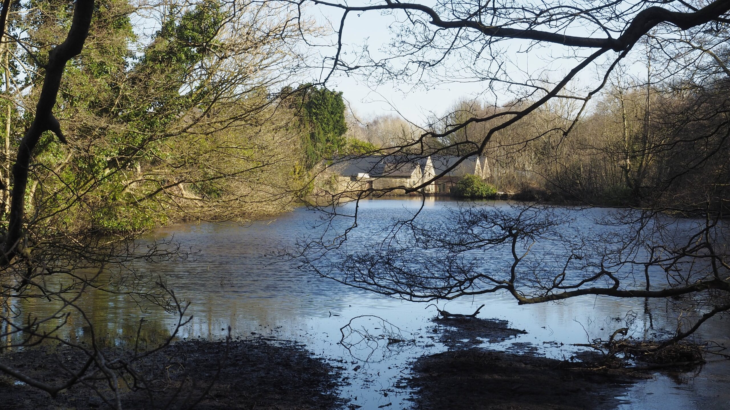 Photograph of the Olive Wheel mill pond with the mill buildings in the background.